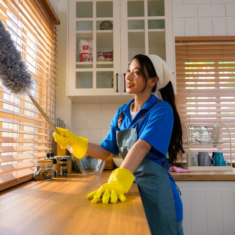 Happy woman cleaning house, Housekeeping and cleaning service, People doing housework at home. High quality photo